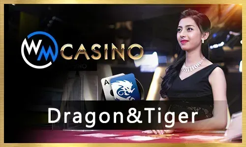 A collage of popular ph365 games including slot machines, live casino tables, and sports betting interfaces, highlighting game selection.